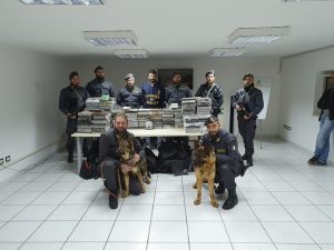 cocaina porto Gioia Tauro Reggio Calabria