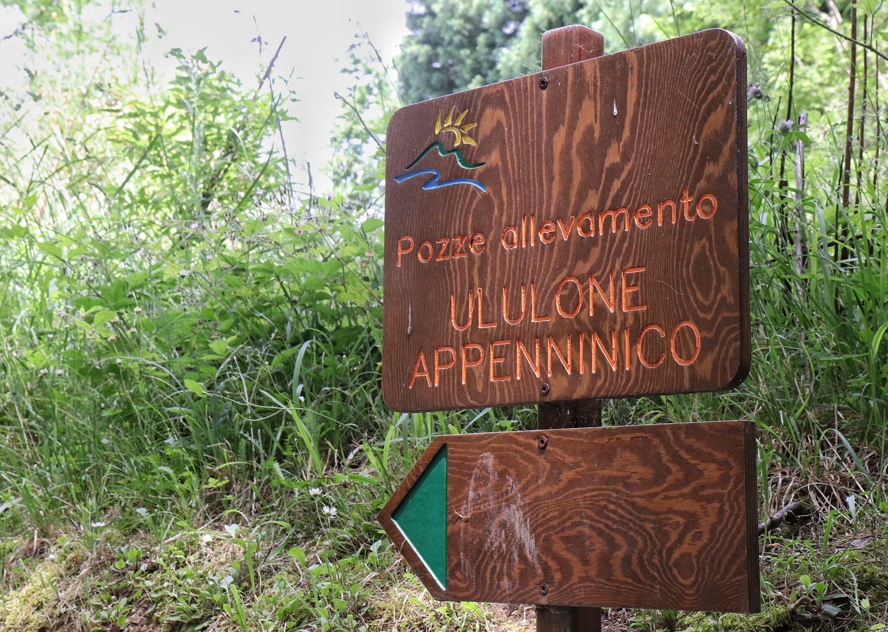 parco aspromonte (3)