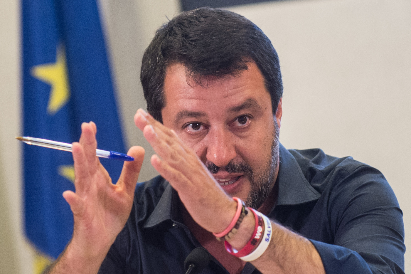 salvini (7)