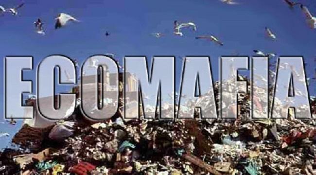 Using Ecomafia Ecomafia 2019: le storie e i numeri della criminalità ambientale in Italia