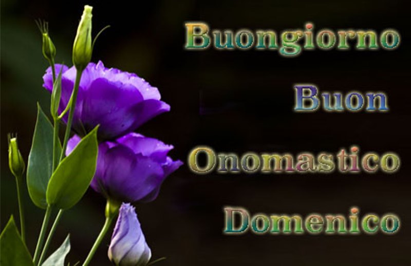 auguri domenico