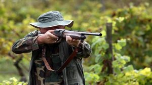 caccia in sicilia e calabria