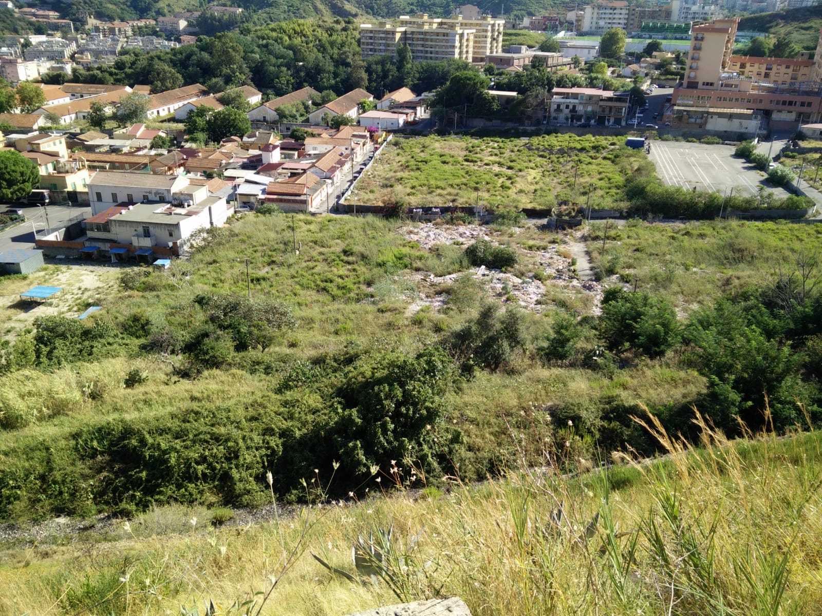 BISCONTE (1)