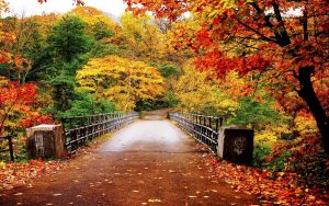 autunno