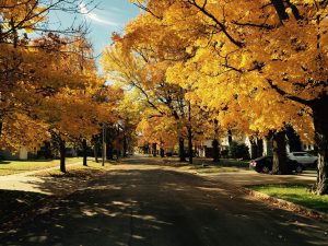 autunno