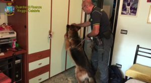 droga reggio calabria
