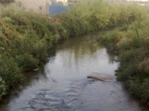 fiume budello