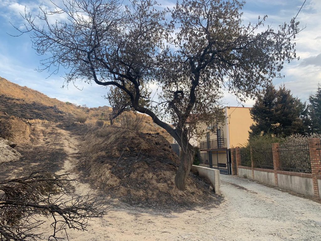 incendio contrada morloquio