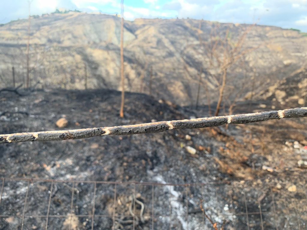 incendio contrada morloquio