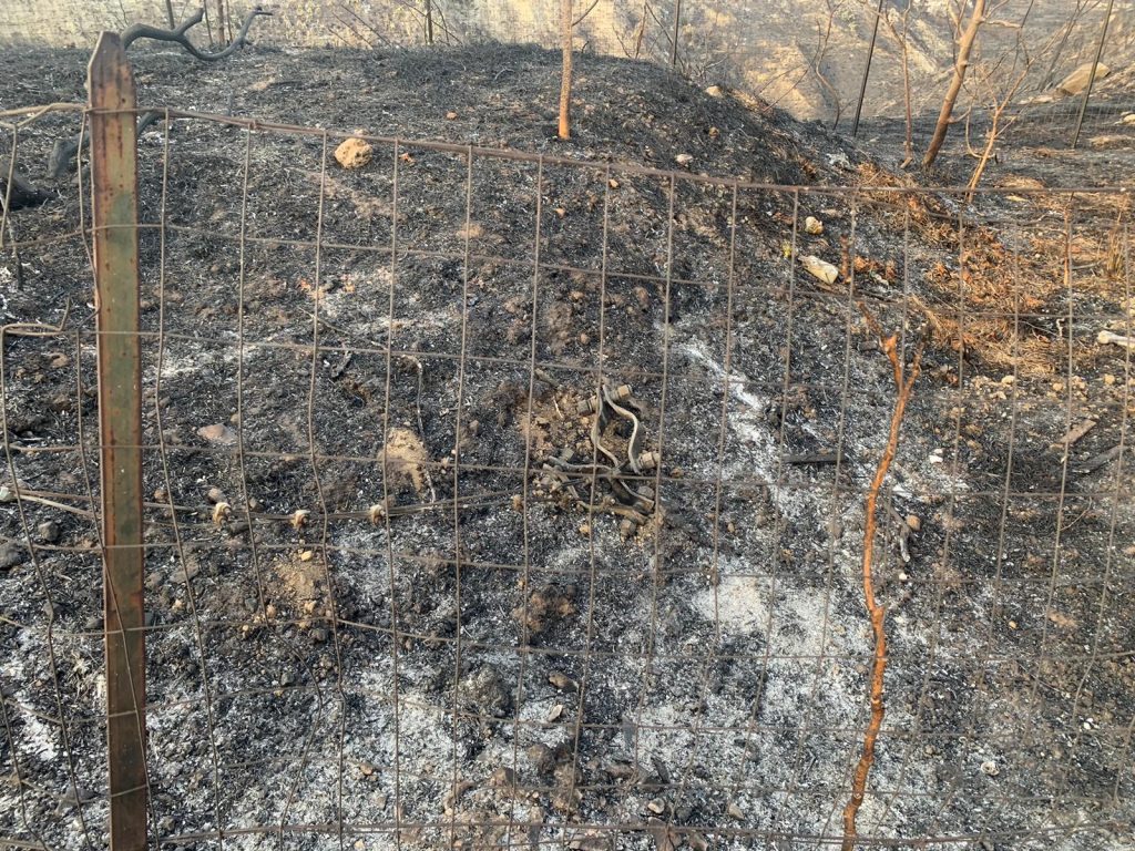 incendio contrada morloquio