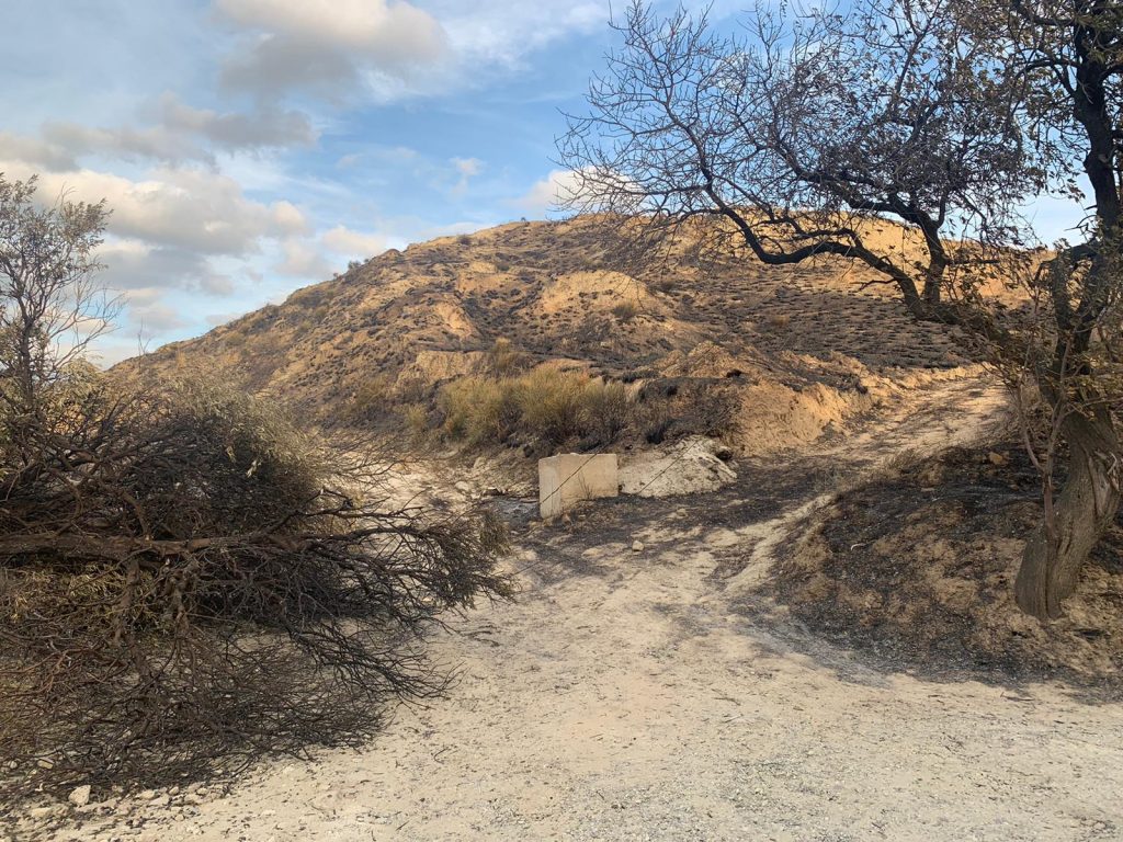 incendio contrada morloquio