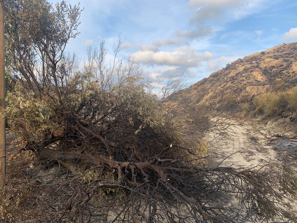 incendio contrada morloquio