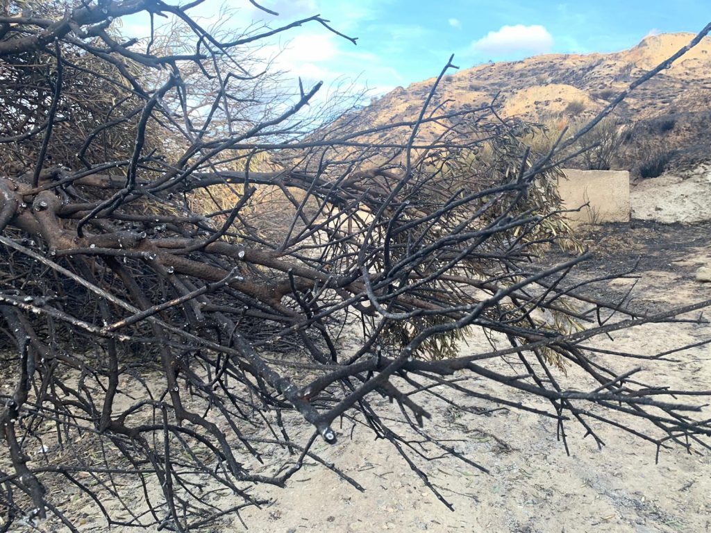 incendio contrada morloquio