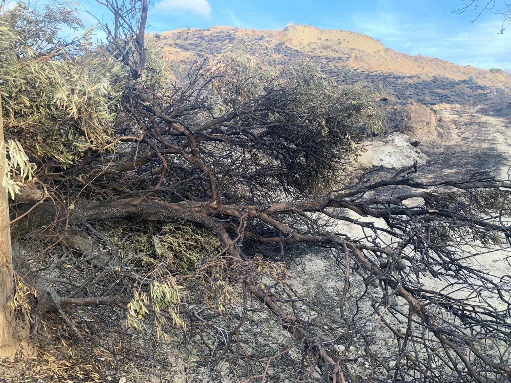 incendio contrada morloquio