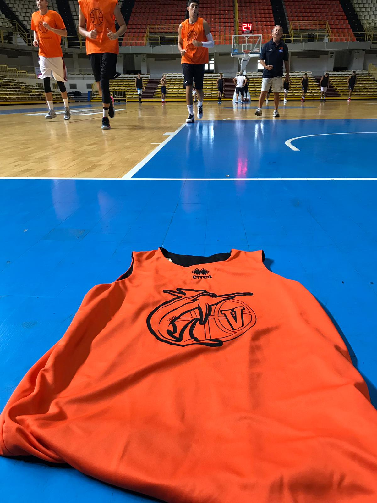 pallacanestro viola