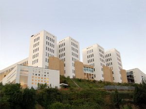 università mediterranea