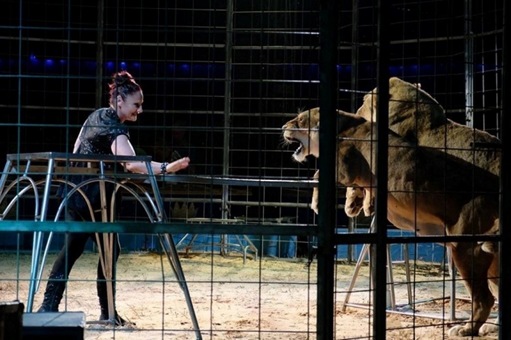 Circo Nelly Orfei (6)