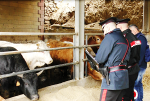 Controllo azienda agricola