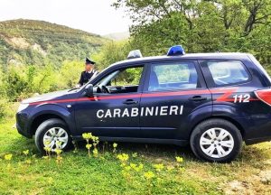 carabinieri messina bosco