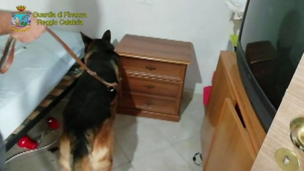 guardia finanza reggio calabria1