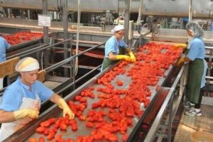 industria alimentare