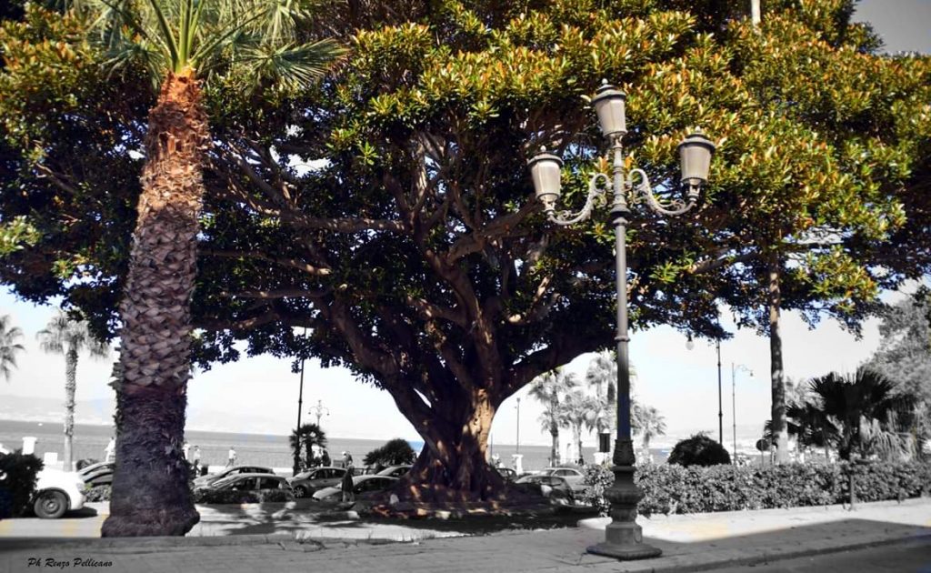 reggio calabria