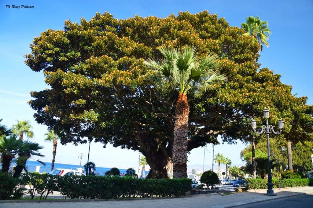 reggio calabria