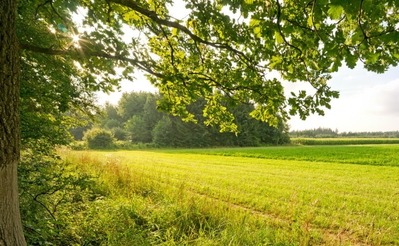 agricoltura biologica