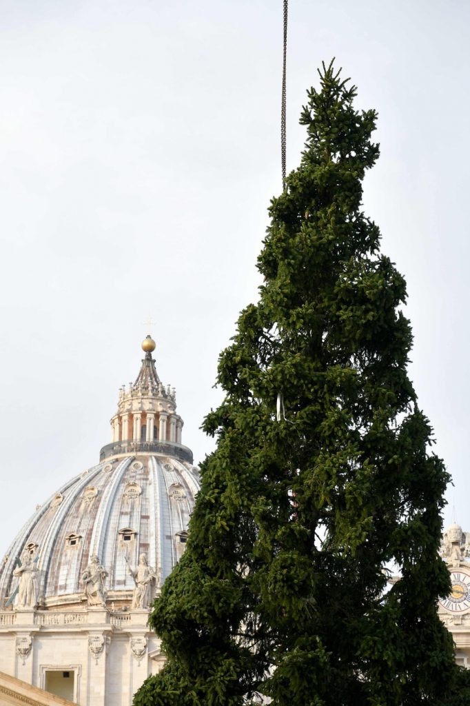 vaticano albero natale