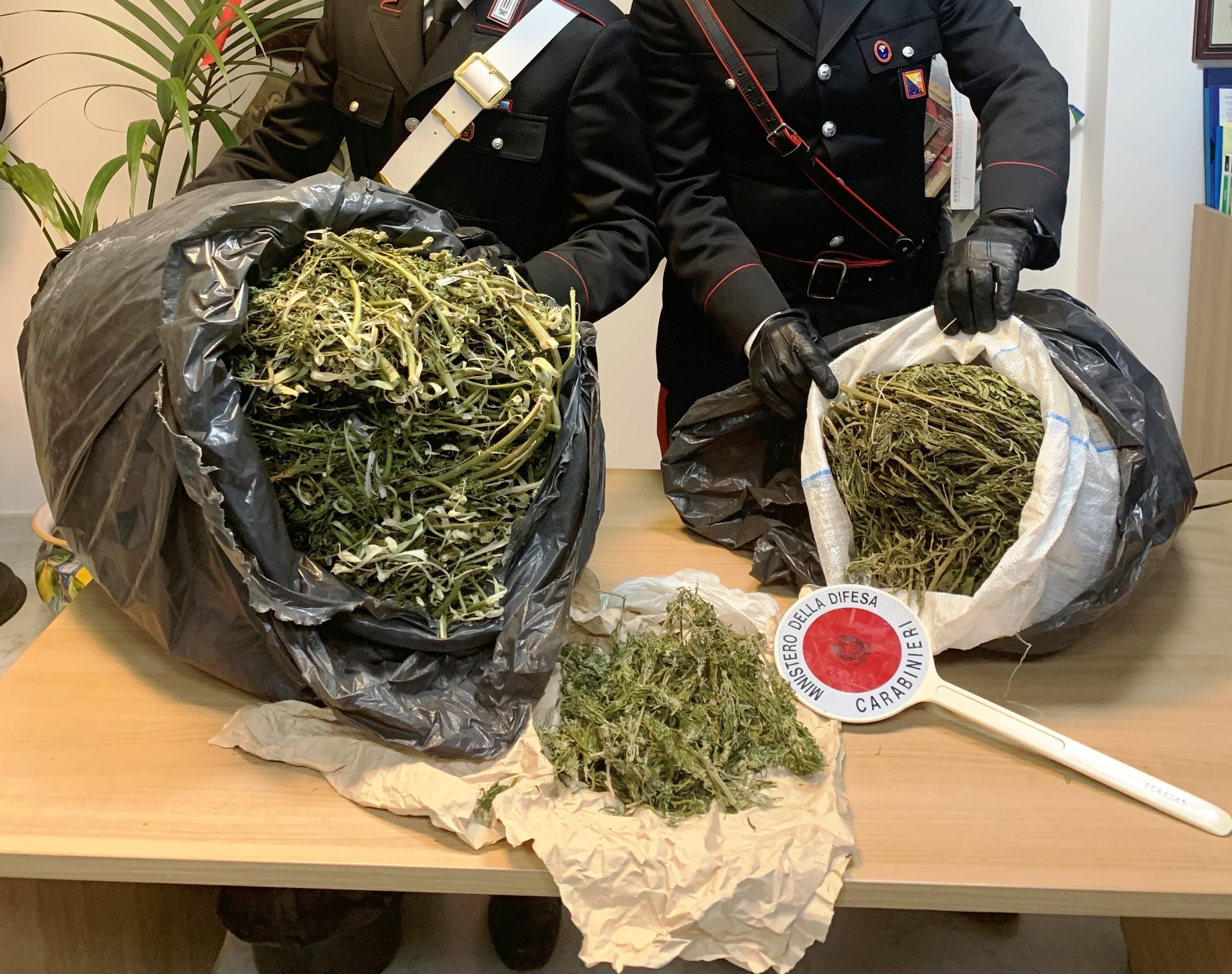 Droga Sequestrata CC S. Stefano Camastra (1)