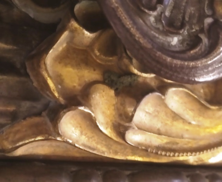 Vara Madonna