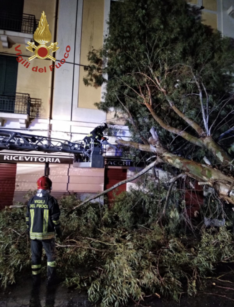 alberi messina maltempo