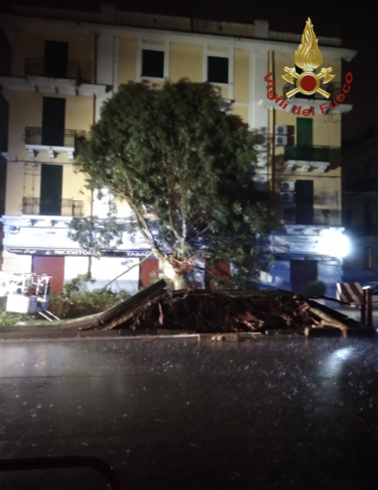 alberi messina maltempo
