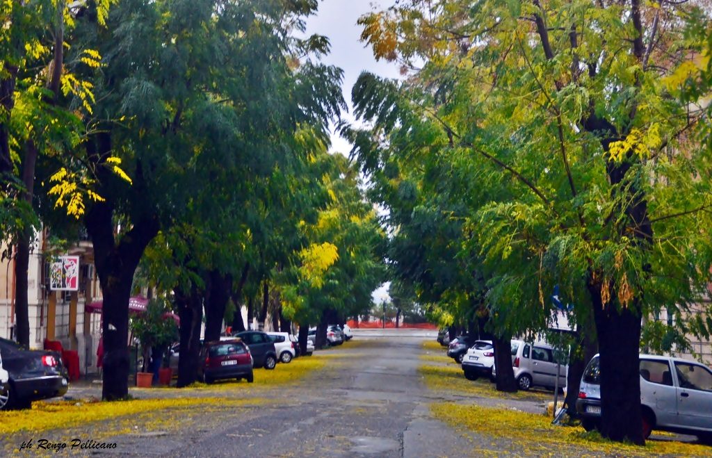 maltempo reggio calabria