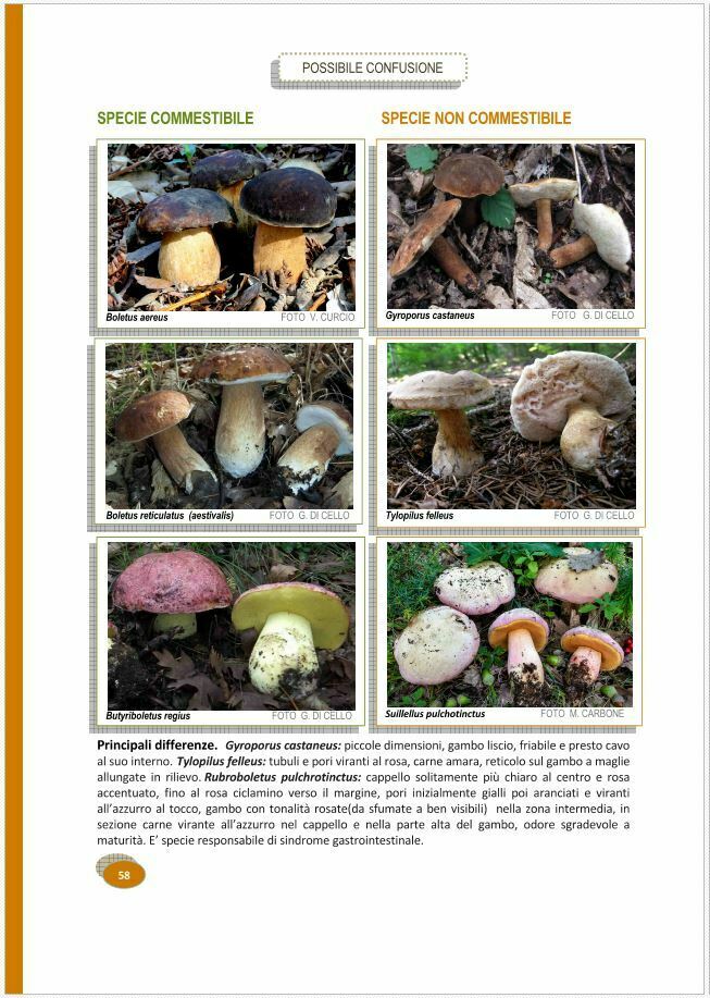 manuale prevenzione intossicazioni funghi
