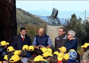 nebrodi festa albero