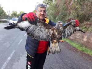 poiana PARCO NEBRODI