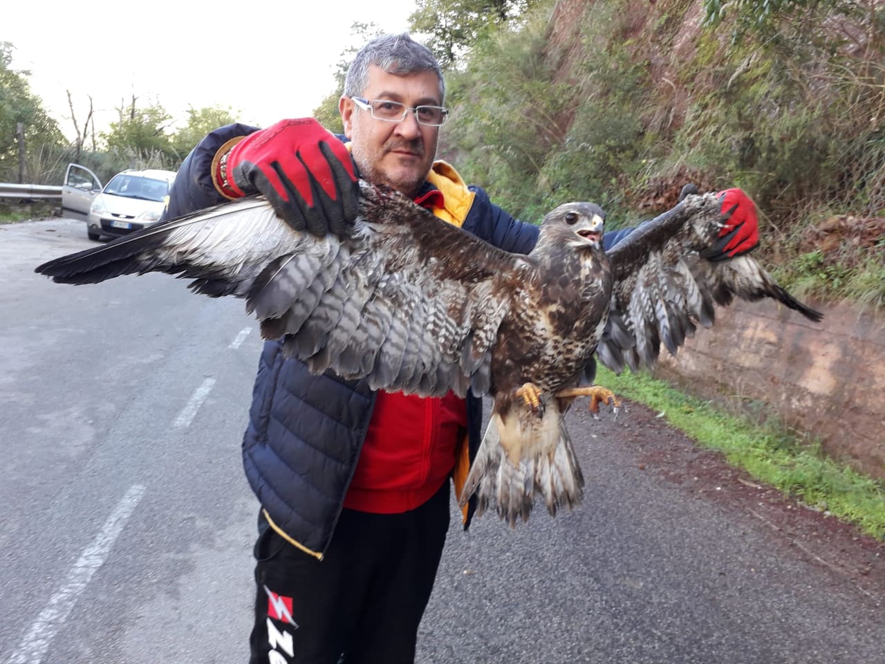 poiana PARCO NEBRODI