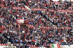 tifosi reggina