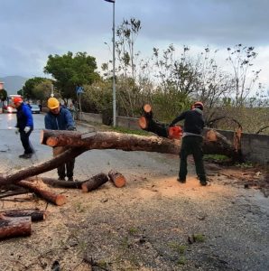ripristino danni maltempo reggio calabria alberi caduti