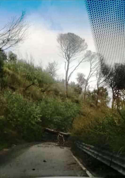 salita portella castanea