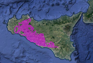 sicilia aquila bonelli uccisa