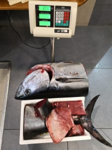 tonno rosso sequestrato messina