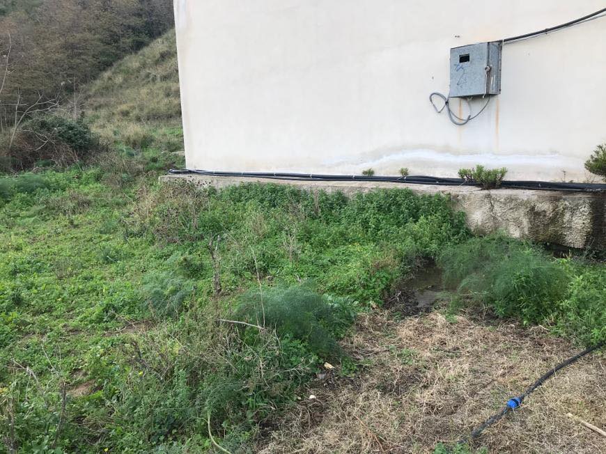STALLA ABUSIVA MESSINA