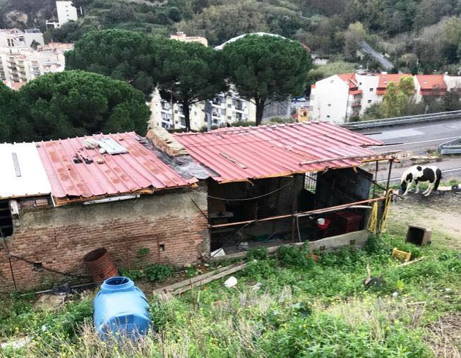 STALLA ABUSIVA MESSINA