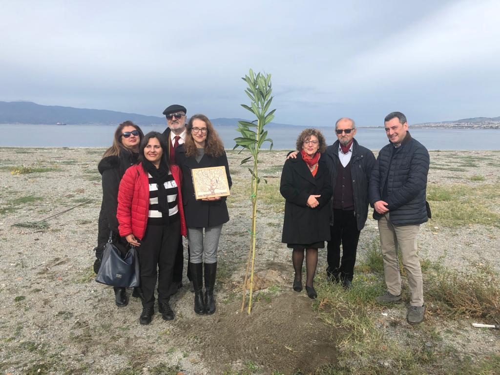 albero in ricordo di sergio tralongo