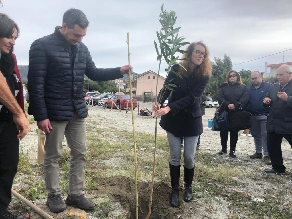 albero in ricordo di sergio tralongo