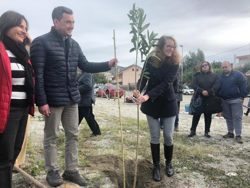 albero in ricordo di sergio tralongo
