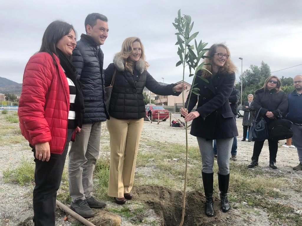 albero in ricordo di sergio tralongo