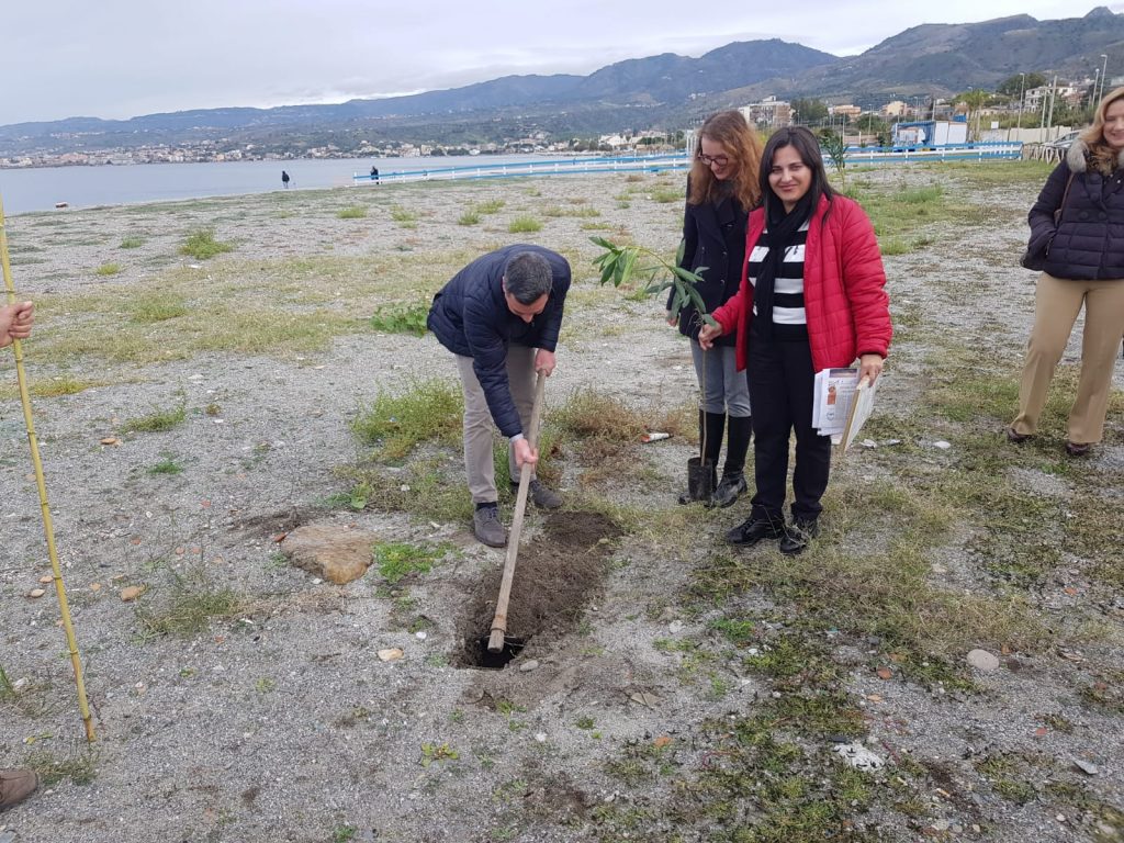 albero in ricordo di sergio tralongo